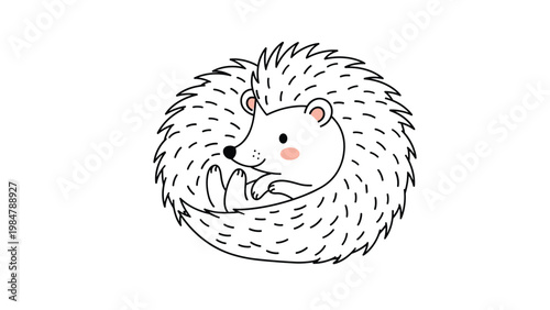 Cute cartoon hedgehog is curled into a tight ball showing its quills and sweet face in a simple hand-drawn illustration style for children.