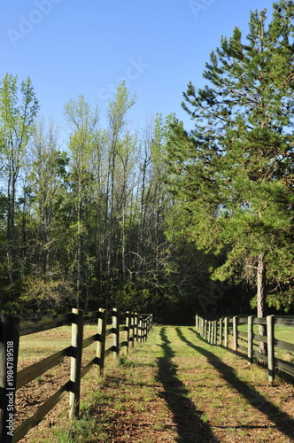 Green path between fences
