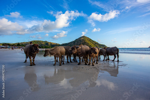 selong belanak beach