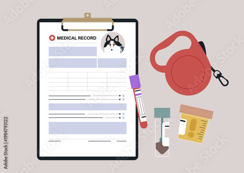 An organized medical record showcases vital details for a beloved dog, Important notes, medication samples, and a leash are neatly arranged for easy access during vet visits.