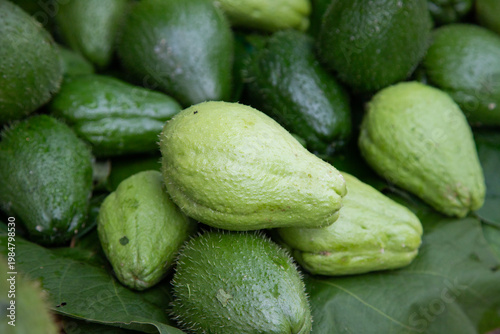 Fresh chayote squash and mint leaves piled together in a vibrant green display in Chiapas, Mexico