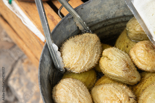 Fresh chayote squash and mint leaves piled together in a vibrant green display in Chiapas, Mexico