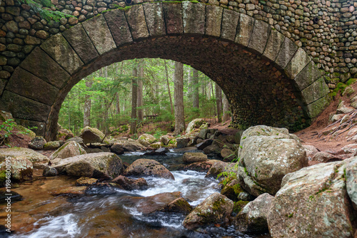 old stone bridge in the forest