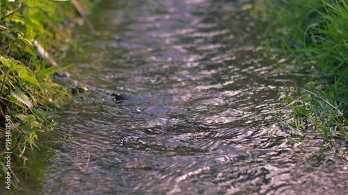 Freshwater spring rippling water