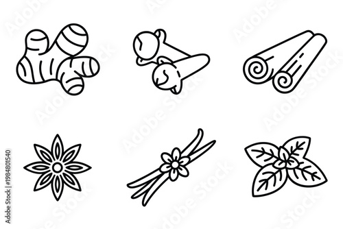 Line art illustration showcasing various spices including ginger cinnamon star anise and cloves