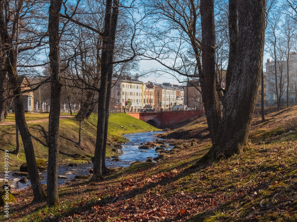 Fototapeta premium Stream winds through leaf-strewn banks. Spring in Oranienbaum.