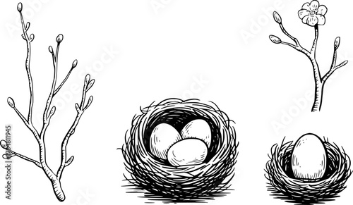 Hand-drawn spring branches, nests with eggs, and blooming flower white background