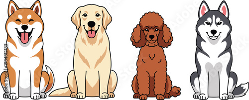 Cute dog breeds vector set with shiba labrador poodle and husky cartoon characters isolated on white