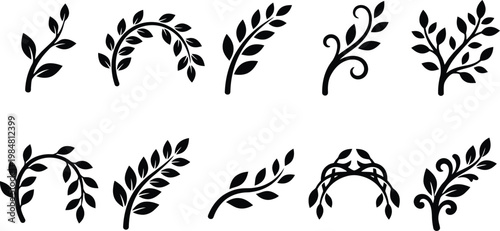 Elegant botanical branch and leaf vector set. Features various natural elements like olive branches, laurel wreaths, and decorative foliage. Ideal for wedding invitations, logos, and organic designs.