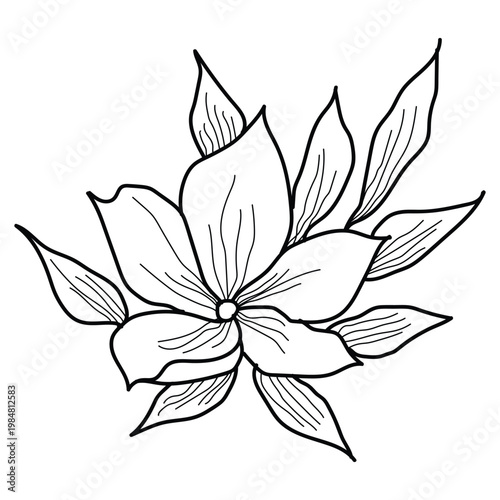 Black and white illustration of a flower with leaves