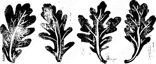 set of four black arugula leaves silhouettes isolated on white background