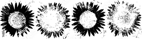 set of four vintage sunflower silhouettes with rough textured petals and seeds design