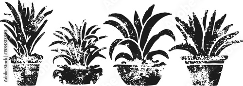 silhouettes of four different potted plants in black on white background, houseplants vector illustration