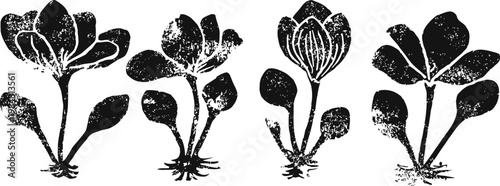 black botanical silhouettes of four blooming flowers with leaves in vintage