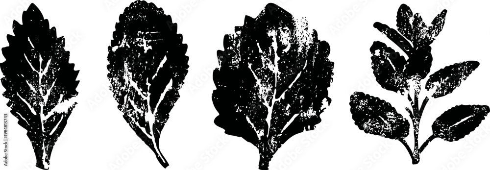 Fototapeta premium four textured black silhouette leaves with detailed vein patterns and natural shapes