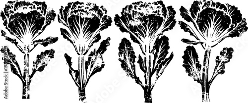 Vintage black ink floral silhouettes set hand drawn ornamental flower and leaf elements collection