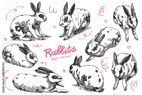 Rabbit or bunny drawing in different poses. Hand drawn illustration in traditional line art style.