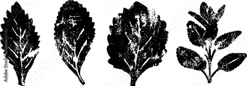 four textured black silhouette leaves with detailed vein patterns and natural shapes