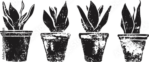 four grunge potted plants with varied leaves in rustic textured pots