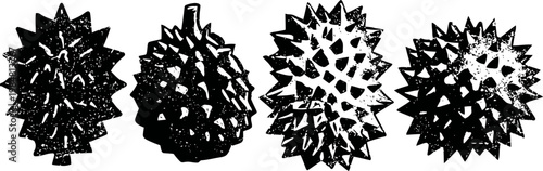 Durian fruit illustrations in black and white with detailed spiky texture and multiple views