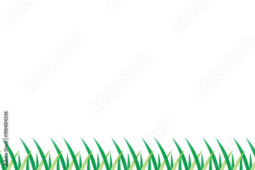 green aloe vera leaf background