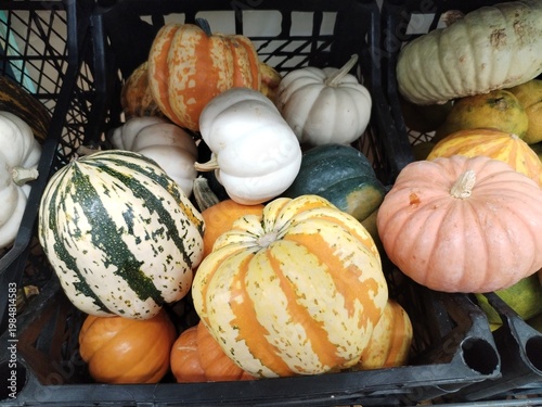Photo of mixed, beautifully colored pumpkins.