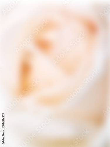 Bloom Blur Background.