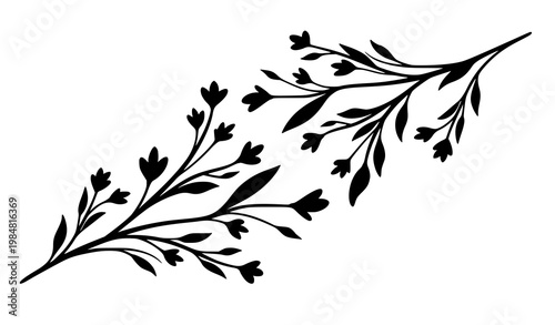 Modern minimal floral silhouette branch vector with elegant botanical elements for feminine branding design