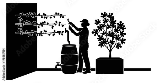 Gardener pruning vines during watering with a rain barrel against a wall and potted plant silhouette