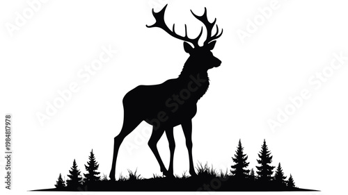 Silhouette of a majestic deer with large antlers standing in a forest clearing