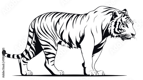 A majestic tiger walking in profile with a powerful stance and detailed stripes