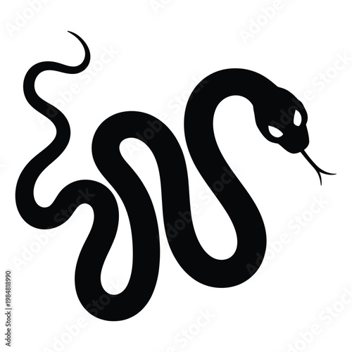 black and white snake