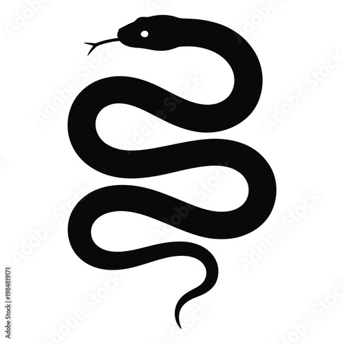 black and white snake