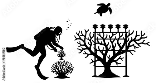 Scuba diver tending coral reef nursery with turtle swimming above silhouette