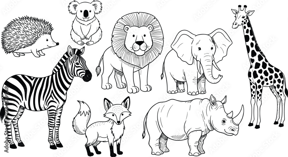 Obraz premium Black and white vector set of hand drawn wild animals including lion elephant zebra giraffe rhino fox koala and hedgehog.