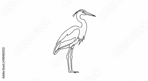 A line drawing of a heron standing on one leg against a white background