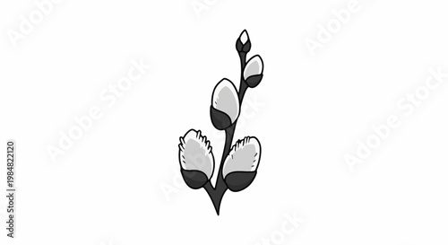 Black and white illustration of a pussy willow branch with buds