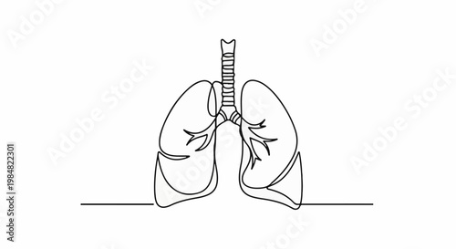 Minimalist outline drawing of human lungs and trachea on white background