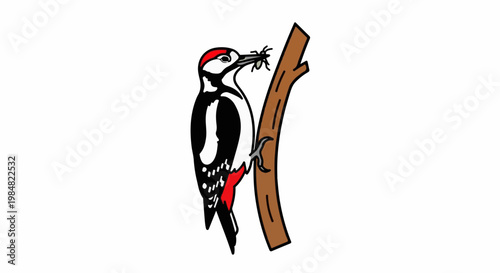 A black and white woodpecker with red markings perches on a brown branch