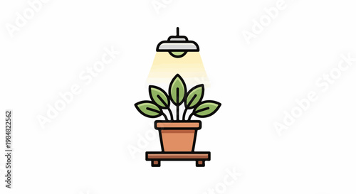 Houseplant growing under artificial light