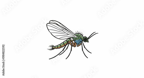 A cartoon illustration of a green and brown mosquito with wings extended