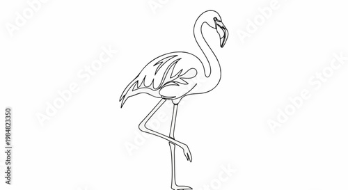 Outline illustration of a flamingo standing on one leg with its head tilted