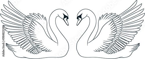Minimalist black and white vector illustration of two graceful swans facing each other with open wings for wedding and logo.