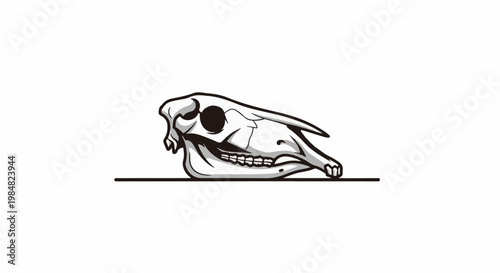 A stylized black and white illustration of a horse skull on a flat line