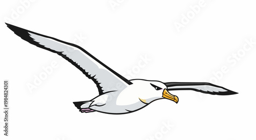 Cartoon albatross in flight, wings spread wide, on white background