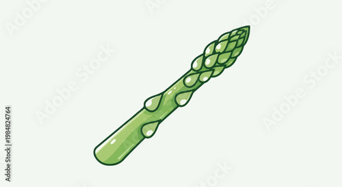 A single green asparagus spear with dew drops, against a white background