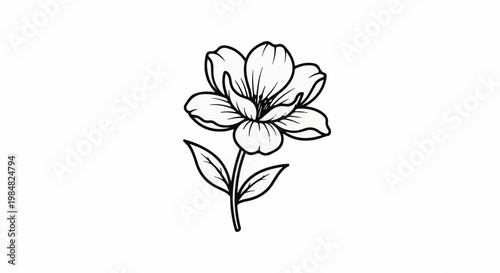 Delicate line art of a single blooming flower with leaves
