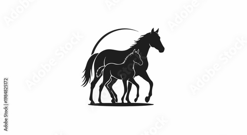 Silhouette of a mother horse and foal walking together