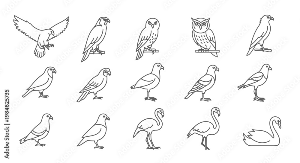 Fototapeta premium Various Bird Illustrations in Different Poses.