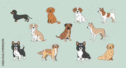 Diverse collection of domestic dog breeds showing a variety of sizes, coats, and colors from small terriers to large retrievers.